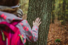 Kinderhand am Baumstamm