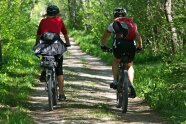 Zwei Radfahrer unterwegs auf Waldweg